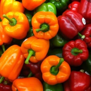 CAPSICUM-BCS-VEENA (Capsicum Hybrid)