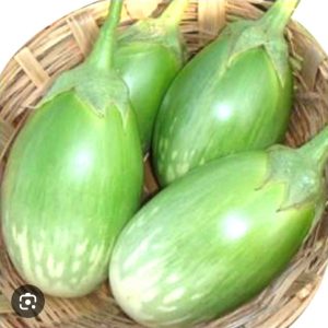 BRINJAL HYBRID-BCS-VEDA