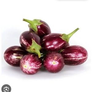 BRINJAL HYBRID-BCS-TUNGA