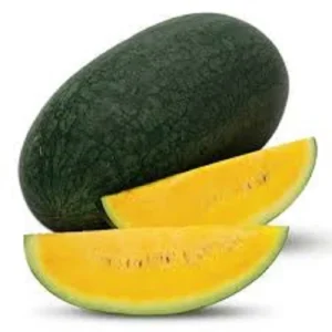 WATER MELON HYBRID - BCS-MAGIC