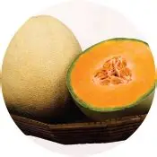 MUSK MELON HYBRID - BCS-NANDA