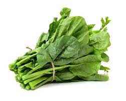 PALAK-BCS-All Green MUSKAN